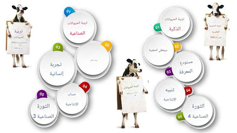 damhoshmand-sod-ar تحقيق تكاليف أقل وأرباح أعلى مع "التربية الذكية للمواشي"