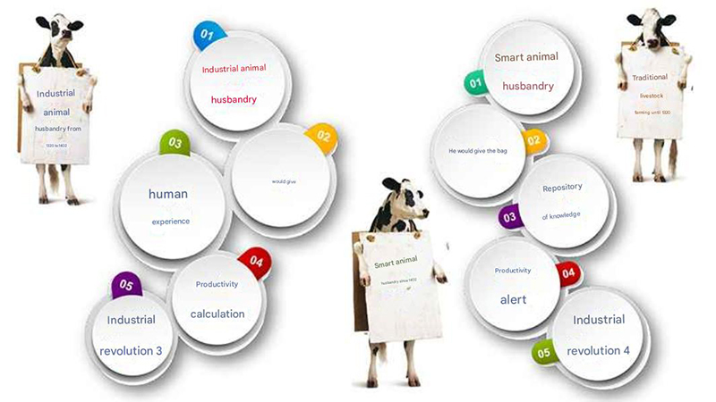damhoshmand-sod-en Smart Livestock Farming