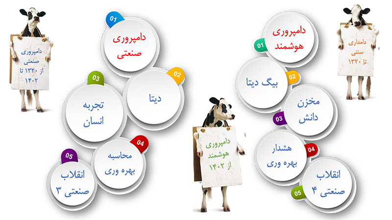 damhoshmand-sod با «دامپروری هوشمند» هزینه کمتر و سود بیشتر
