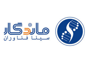 شرکت سینا فناوران ماندگار